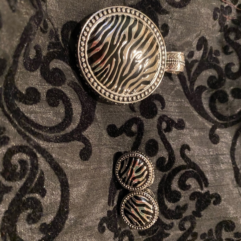 Premier designs pendant and earrings